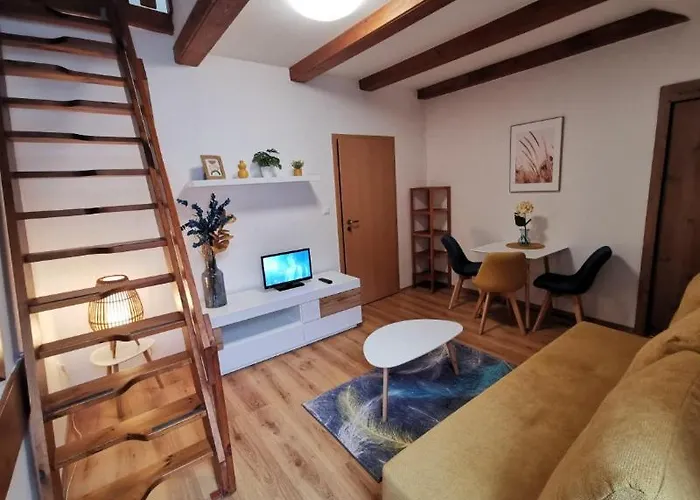 Apartmanovy Dom Fatrapark - Ap 318, Ap 306 Mezonet 公寓