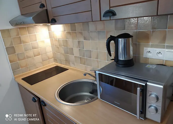 公寓 Apartmanovy Dom Fatrapark - Ap 318, Ap 306 Mezonet 鲁容贝罗克